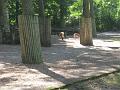 Zoo Cottbus 121